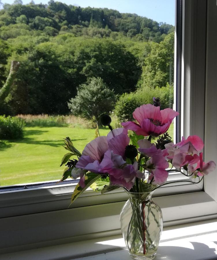 Wray Valley Moretonhampstead Exteriör bild