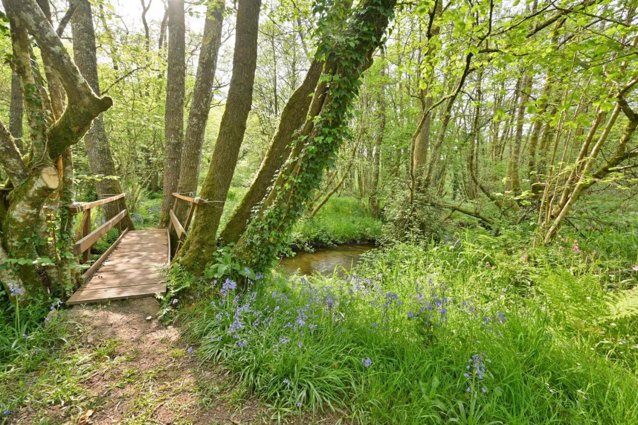 Wray Valley Moretonhampstead Exteriör bild